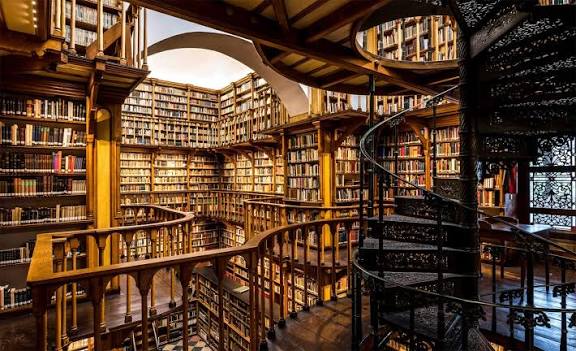 Library Opening